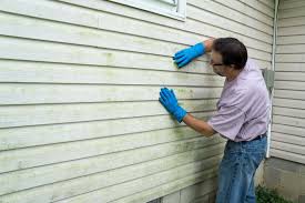 Best Fiber Cement Siding Installation  in Speedway, IN